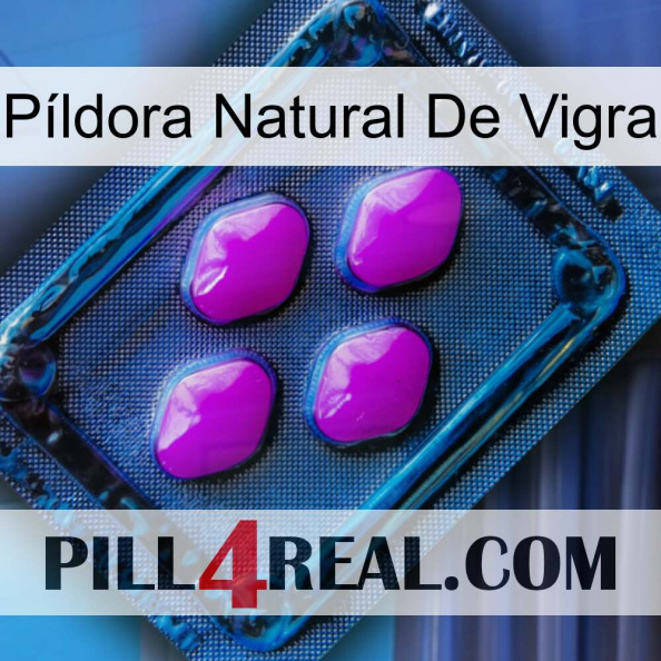 Píldora Natural De Vigra 04.jpg